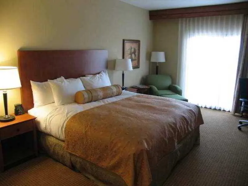 Hilton St. Petersburg Carillon Park Hotel